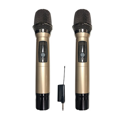 Microphone 09